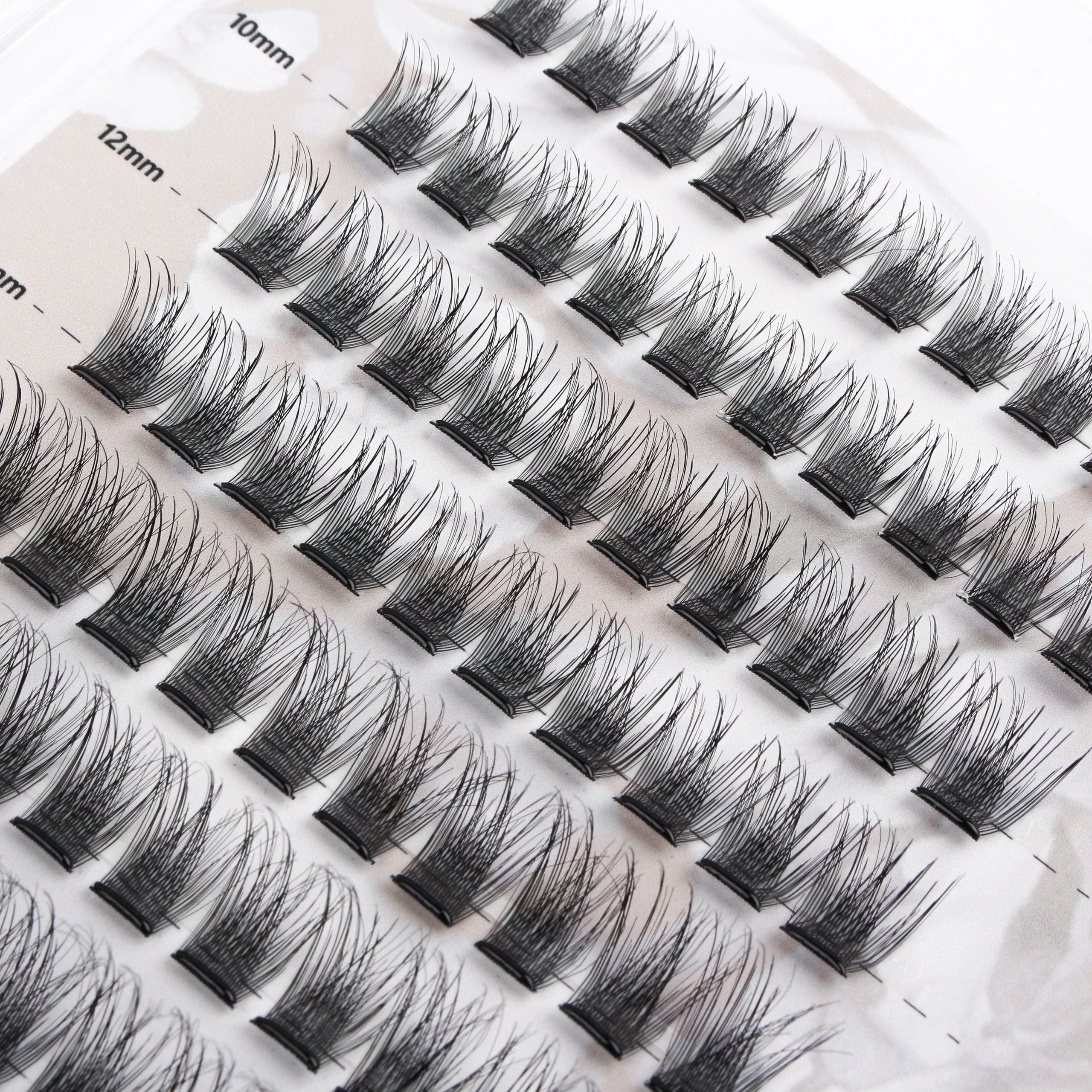 COY Lashes