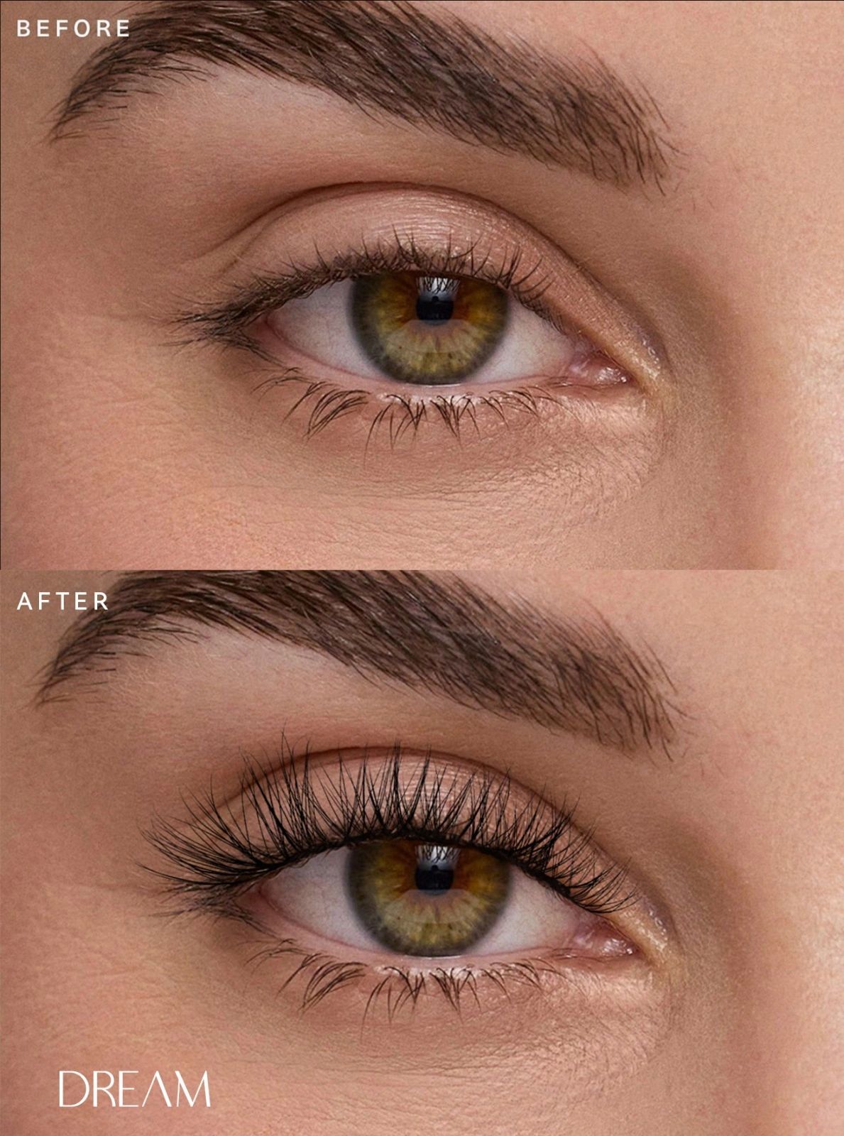DREAM Lashes