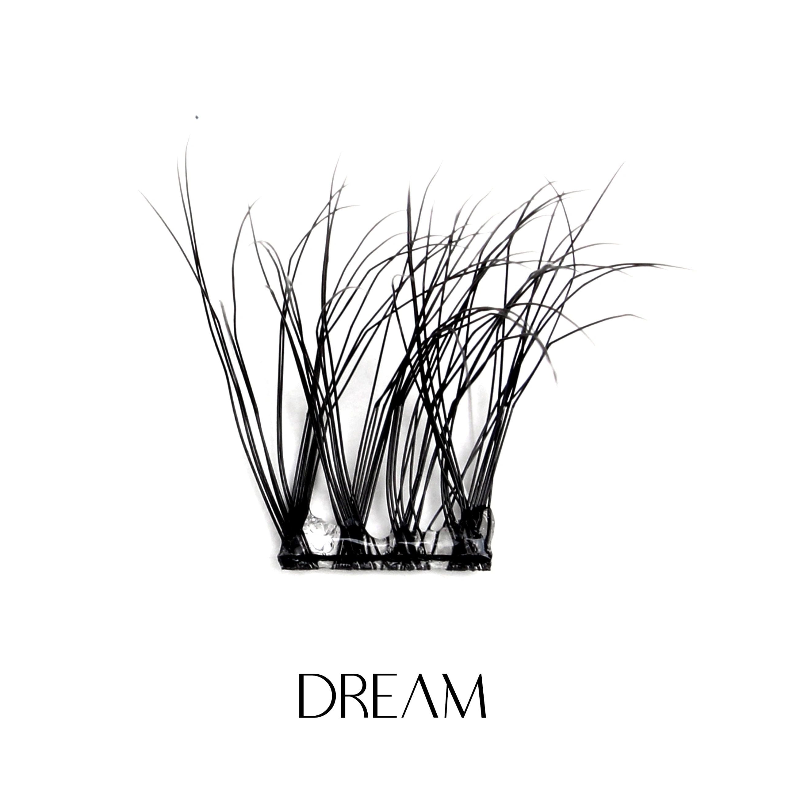 DREAM Lashes