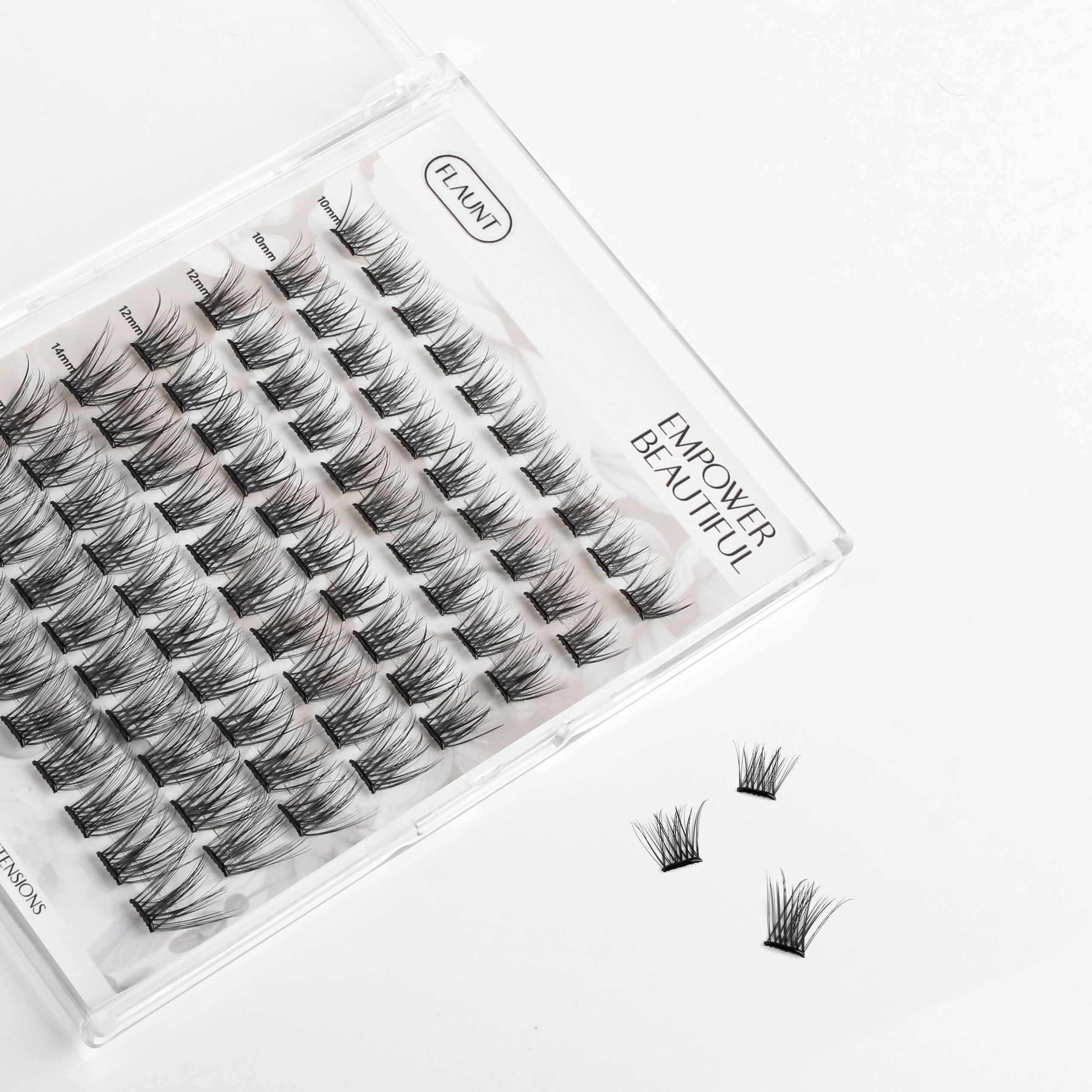 DREAM Lashes