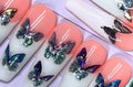 Jolie - Pretty French Butterfly